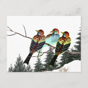 Ein Stern ist Geboren Postkarte