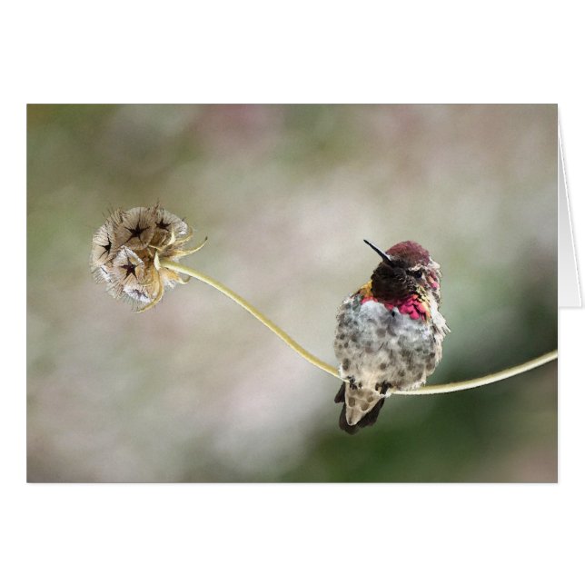 Ein Stern war geboren (Vorderseite (Horizontal))