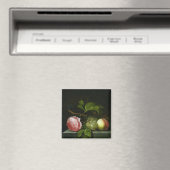 Ein Stillleben mit Rose, Trauben und Pfirsich Magnet (In Situ (Geschirrspüler))