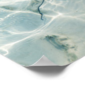 Ein Stingray Poster (Ecke)