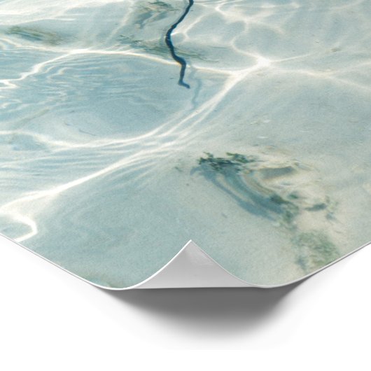 Ein Stingray Poster (Ecke)