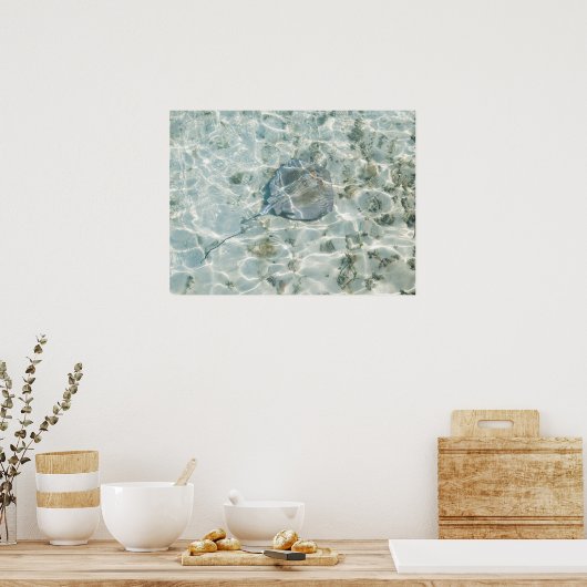 Ein Stingray Poster (Küche)