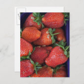ein Stollen reifer frischer Erdbeeren zum Verkauf Postkarte (Vorne/Hinten)