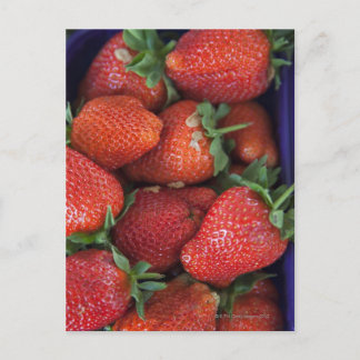 ein Stollen reifer frischer Erdbeeren zum Verkauf  Postkarte