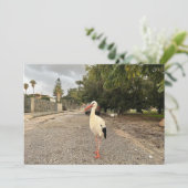 Ein Storchportrait Feiertagskarte (Stehend Vorderseite)