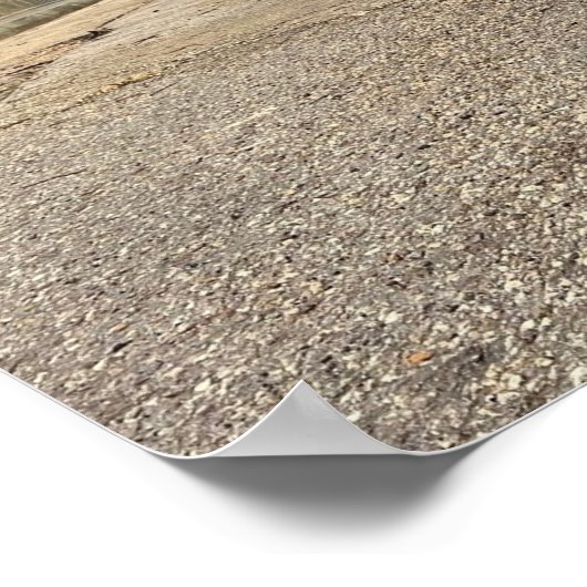 Ein Storchportrait Poster (Ecke)