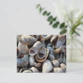 Ein Strand mit Muscheln Postkarte (Stehend Vorderseite)