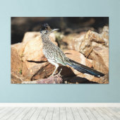 Ein Straßenläufer hält sich kurzzeitig auf die Suc Leinwanddruck (Insitu (Holzboden))