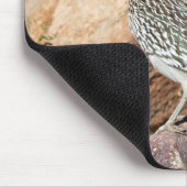 Ein Straßenläufer hält sich kurzzeitig auf die Suc Mousepad (Ecke)