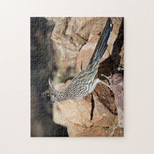 Ein Straßenläufer hält sich kurzzeitig auf die Suc Puzzle (Vertikal)