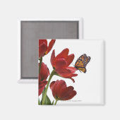 ein Strauß roter Tulpen wird von einem Monarchen b Magnet (Vorderseite/Rückseite)