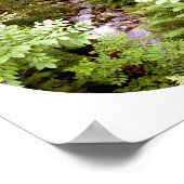 Ein Stream in einem Wald von Ferns Fotografie Poster (Ecke)