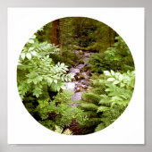 Ein Stream in einem Wald von Ferns Fotografie Poster (Vorne)