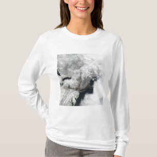 Ein strenger Wintersturm T-Shirt