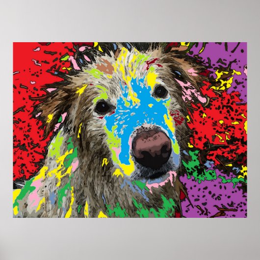 Ein streunender Hund Poster (Vorne)