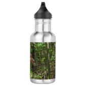 Ein Stroll durch das Holz Edelstahlflasche (Rechts)