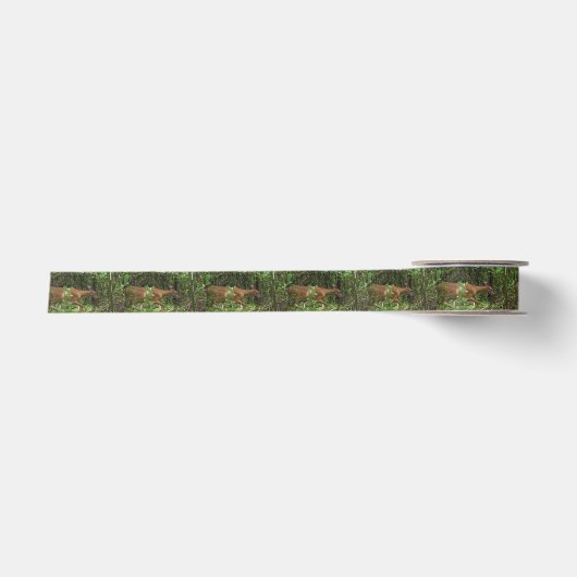 Ein Stroll durch das Holz Satinband (Vorderseite)