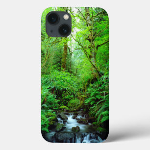 Ein Strom in einem alten Wald iPhone 13 Hülle