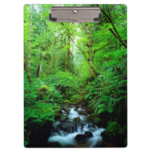 Ein Strom in einem alten Wald Klemmbrett