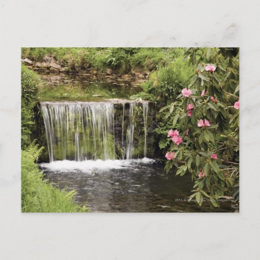 Ein Strom und ein Wasserfall im Dartmoor-Nationalp Postkarte (Vorderseite)