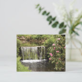 Ein Strom und ein Wasserfall im Dartmoor-Nationalp Postkarte (Stehend Vorderseite)