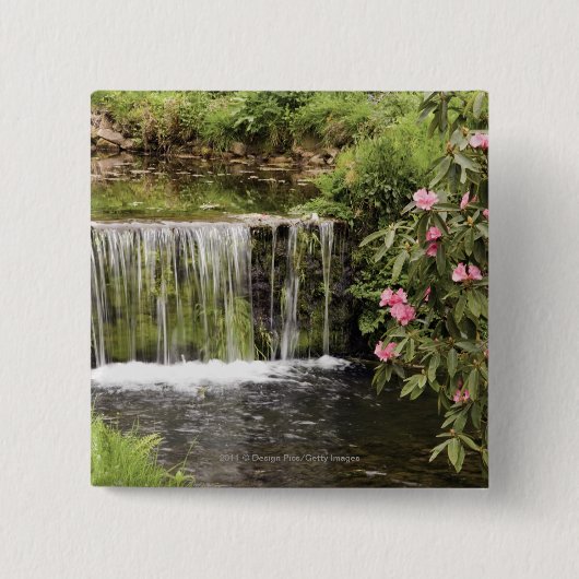 Ein Strom und ein Wasserfall in Dartmoor Button (Vorderseite)