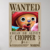 Ein Stück Chopper 1 gewollt Poster (Vorne)