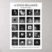 Ein Stupid Brilliance Poster 13x19 (Vorne)