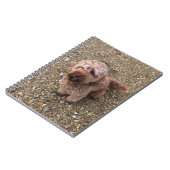 Ein Super Sweet Cavapoo-Notebook Notizblock (Linke Seite)