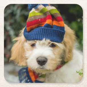 Ein süßer Cavachon Welpe in einem Winter-Hut und Rechteckiger Pappuntersetzer