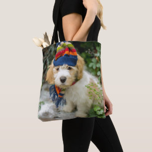 Ein süßer Cavachon Welpe in einem Winter-Hut und Tasche