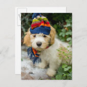 Ein süßer Cavachon-Welpe in einem Winterhut und Ka Postkarte (Vorne/Hinten)