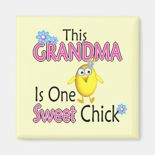 Ein süßer Küken Magnet