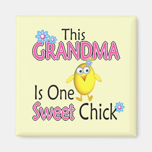 Ein süßer Küken Magnet (Vorne)