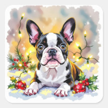 Ein süßes Boston Terrier Weihnachten