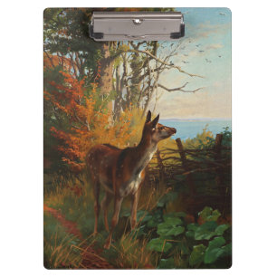 Ein süßes Reh im Wald Klemmbrett