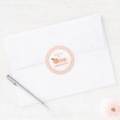Ein Sweet Peach Birthday Paper Teller Runder Aufkleber (Umschlag)