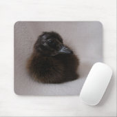 Ein Tag alte Entenleine Mousepad (Mit Mouse)