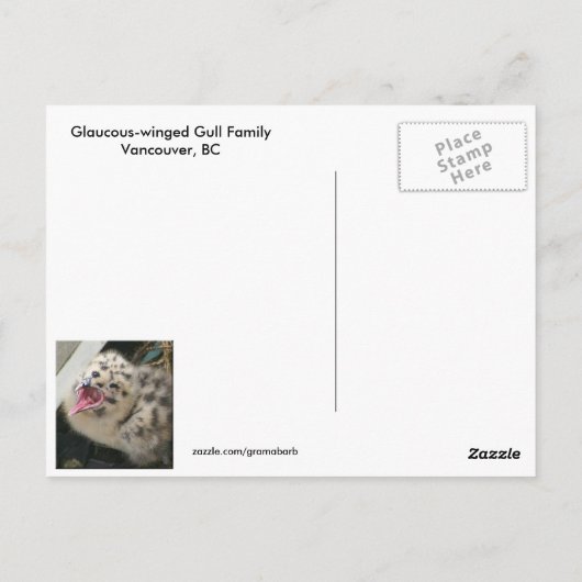 Ein Tag alte Hühnchen Postkarte (Rückseite)