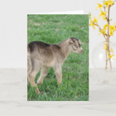 Ein Tag alter Donner Karte (Gelbe Blume)