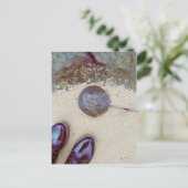 "Ein Tag am Meer" - Hufeisenkrebse Postkarte (Stehend Vorderseite)