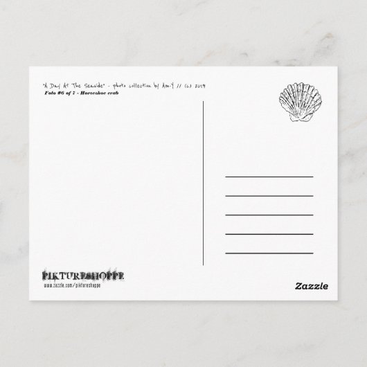 "Ein Tag am Meer" - Hufeisenkrebse Postkarte (Rückseite)