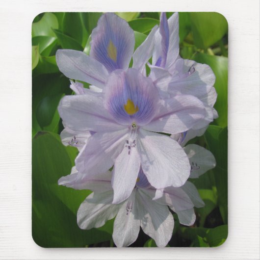 Ein Tag bei der Pond-Serie Mousepad (Vorne)