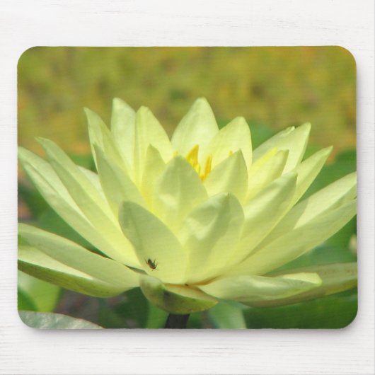 Ein Tag bei der Pond-Serie Mousepad (Vorne)