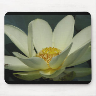 Ein Tag bei der Pond-Serie Mousepad