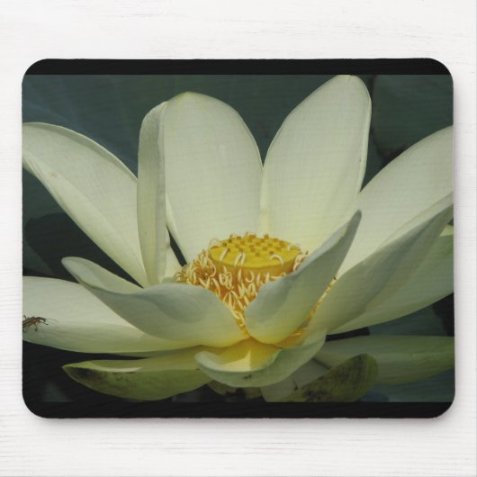Ein Tag bei der Pond-Serie Mousepad (Vorne)