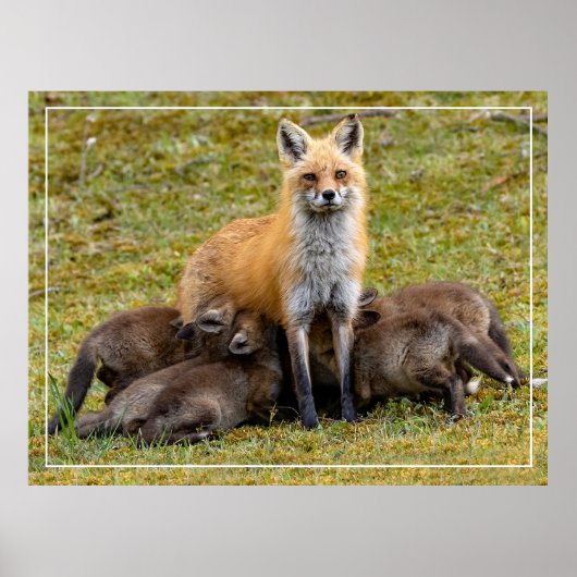 Ein Tag der Mama Poster (Vorne)