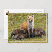 Ein Tag der Mama Postkarte (Vorne/Hinten)