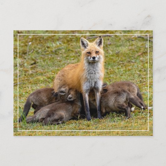 Ein Tag der Mama Postkarte (Vorderseite)