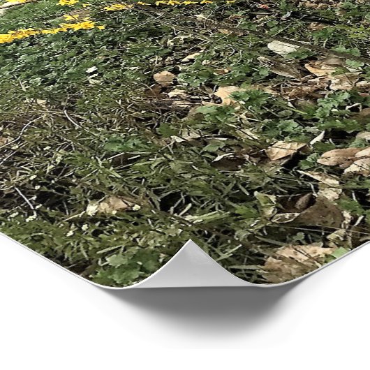 Ein Tag im Park Poster (Ecke)